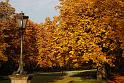 2009-10-26, Herbstfärbung (7)